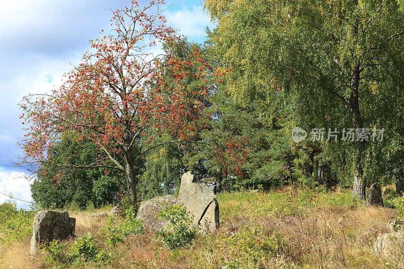 V ?古墓地，瑞典